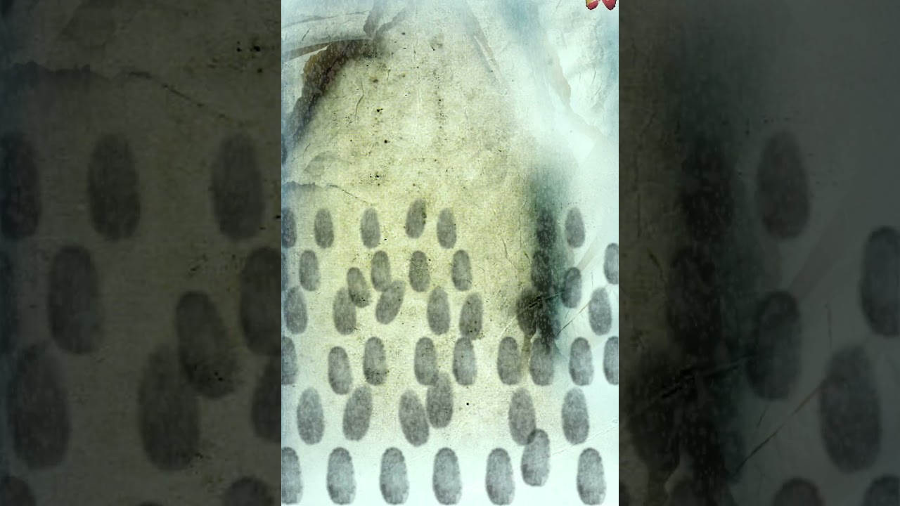 Motion Poster: The Snow Is Singing