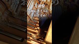 Download lagu パッヘルベル のカノン｜パイプオルガン #パイプオルガン mp3