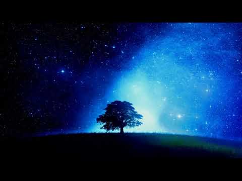 Best of Arty and Mat Zo | Mixed by Cardem