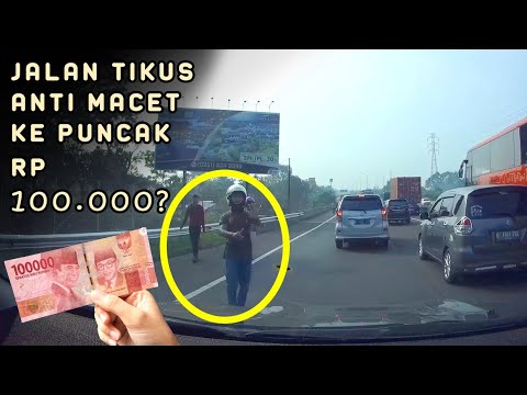 Download Jalan Tikus 3gp Mp4 Codedfilm