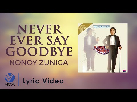 Video thumbnail for Never Ever Say Goodbye