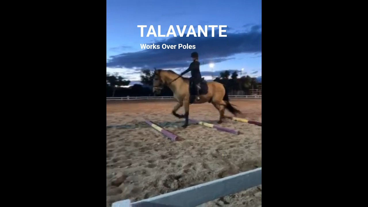 Talavante video 2
