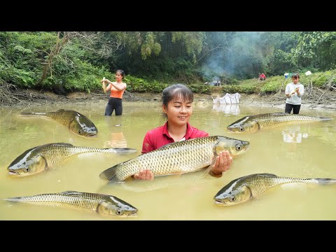 Harvesting A Lot Of Big Fish Goes To Countryside Market Sell || Phuong Free Bushcraft