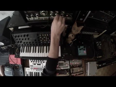 dub techno session #4 (S.E. Engine, Space Echo, Juno 106, Volcas, MS20, Blue Sky)
