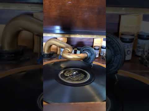 Blue-Eyed Sally - Ted weems and his Orchestra  Victor Records #19547 1924