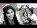 Mayilpeeli Kannukond Kasavuthattam Vayalar G Devarajan P Susheela AM Raja Prem Nazir