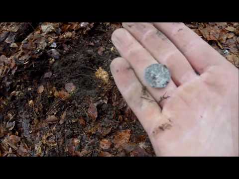 Ein Tag voller Glück. Unfassbarer Tag. Silber !!