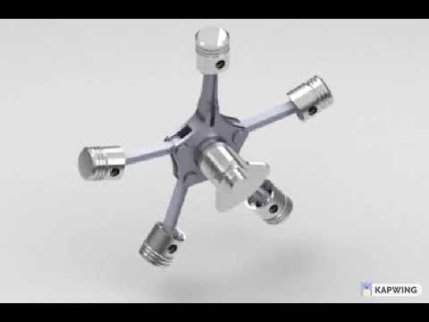 You know my rings don't lie