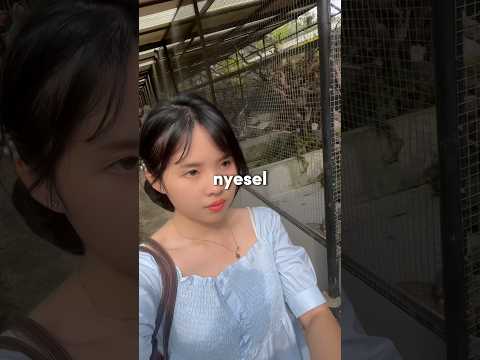 Nyesel banget ke kebun binatang ini.. #nyeselbanget #reviewjujur #nyesel #kebunbinatang