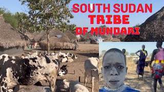 Mundari Tribe of South Sudan Homestead That they will Never Show you on Internent #world #lifestyle