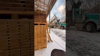 Log Collector, can’t help myself