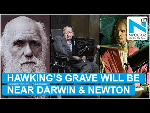 Stephen Hawking's Ashes To Be Buried Near Graves Of Darwin And Newton | NYOOOZ TV
