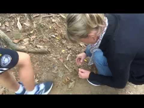 Wanderung durch NATURSCHUTZGEBIET DORMELLETTO