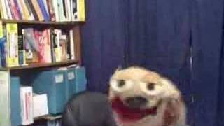 Dumb Dog Sings: Drinkin&#39; Bone by Tracy Byrd