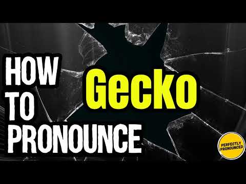 How To Pronounce Gecko? (CORRECTLY) Meaning & Pronunciation