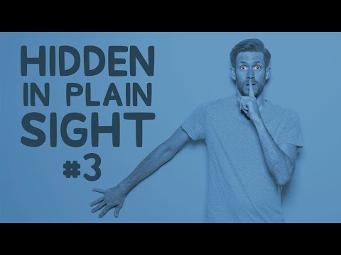 You'll Never Guess Where He's Actually Hiding • Hidden in Plain Sight #3