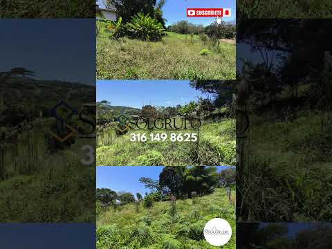🏡 ¡SE VENDE LOTE EN MONIQUIRÁ, BOYACÁ!