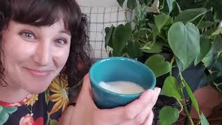 DIY Houseplant Shine Sprays