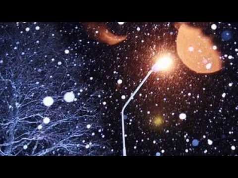 Khúc tự tình mùa đông - Đỗ Xuân Sơn