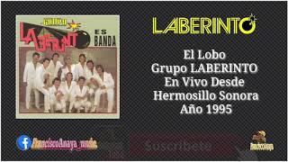 El Lobo - Grupo LABERINTO En Vivo Musica Del Recuerdo