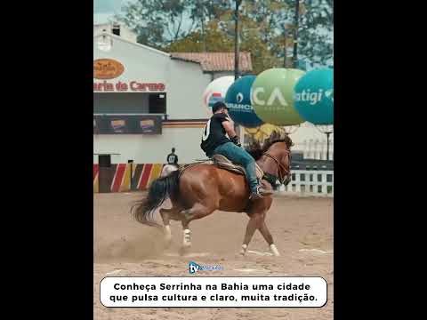 Conheça Serrinha na Bahia uma cidade que pulsa cultura e claro, muita