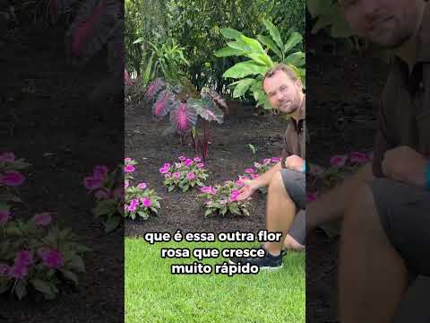 V&iacute;deo 6