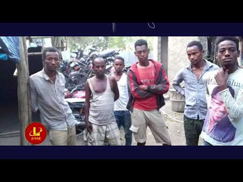 ሰበር#የኦሮሚያ እና አማራ ክልል ግጭት እና ሠላም, የዛምቢያ ውጭ ጉዳይ ሚኒስትር ሙስና ኢራን ለእሥራኤል ሰለሉ ያለቸውን በሞት ቀጣች # Today's News