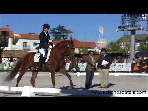 Ídolo D'atela FNC 2017