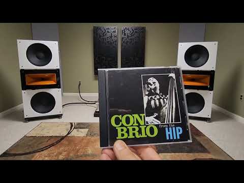 DANS $22K COMPLETE HIGH END AUDIO SYSTEM. ONLY 4 WATTS OF POWER !