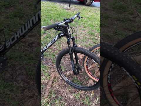 Mongoose XR PRO and Schwinn Taff