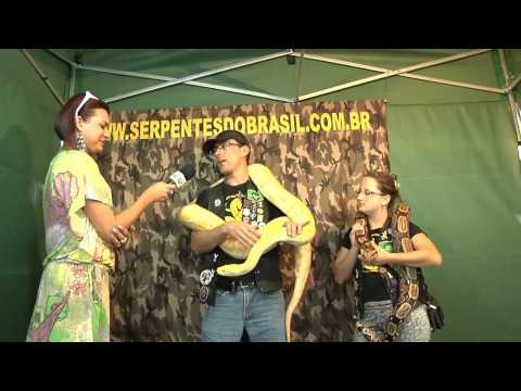 OURO FINO BOLETIM DA SEMANA 39 - 26 DE AGOSTO DE 2012