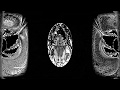 Tribes Of Neurot High Mobility 4 Times Slower