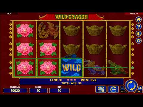 Wild Dragon – Video Gameplay