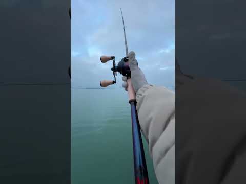 IS THE SLX DC THE BEST BAITCASTING REEL??? 🎣 #fishingreel