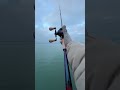 IS THE SLX DC THE BEST BAITCASTING REEL??? 🎣 #fishingreel