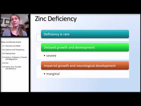 10.6 Mineral: Iodine, Zinc, Fluoride, Selenium