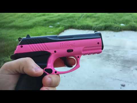 Пневматический пистолет Crosman Wildcat CO2 (P10PNK)