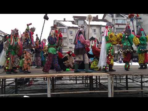 Ursul de la Blagesti @ Pascani 2018