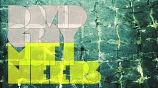 David Gray - Mutineers (Official Audio)