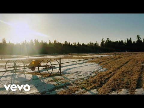 Novi Fosili - Samo Mi Se Javi