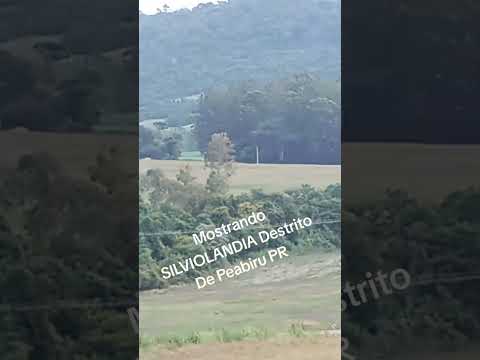 SILVIOLANDIA Destrito De Peabiru PR