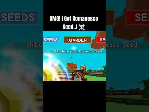 OMG! I Got Romanesco Seed..! ☠️ + Shiba Inu Pet is OP! #growgarden #roblox #fyp