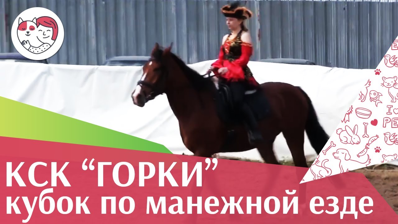 Летний кубок КСК Горки по манежной езде КЮР часть 42 на ilikepet