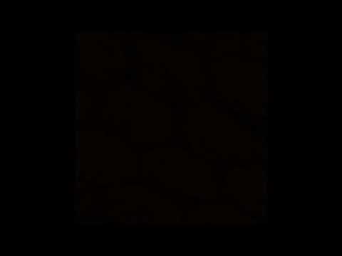 27. fleece - coffee++ [23.01.2018]