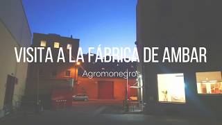 ¡Visitamos la fábrica de Ambar!