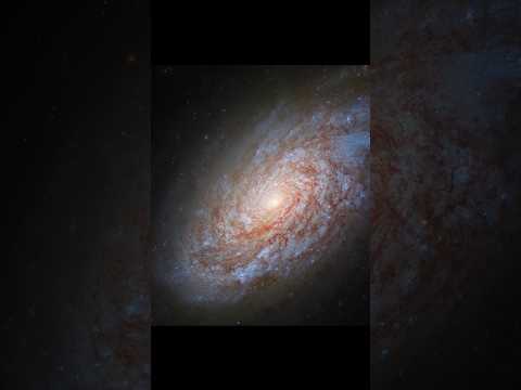 NGC 4414, A Breathtaking Cosmic Wonder, 62 Million Light Years in Coma Berenices, #shorts