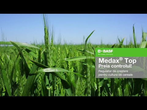 Medax TOP BASF Acvilanis