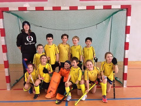 Hockey U10B - HC Wiener Neudorf gegen TLHC, am  27 01 2019