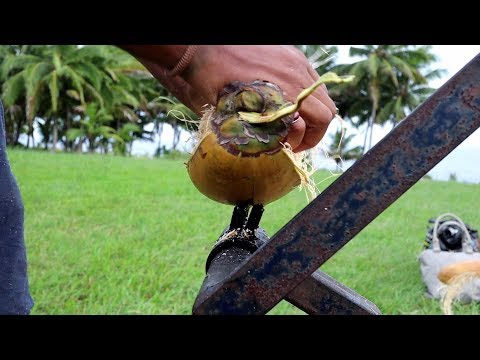 Coconut husking machine