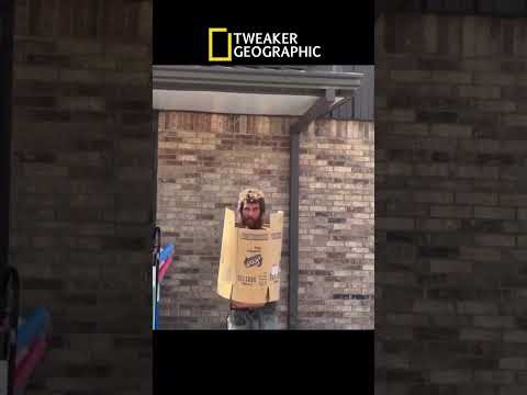 Tweaker Armor #fypシ #funny #nature #viral #viralshorts